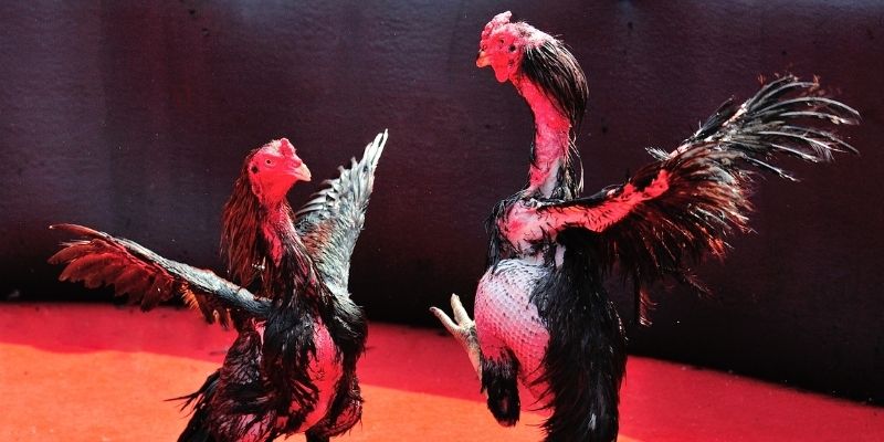 sun 10 win casino Sòng bạc